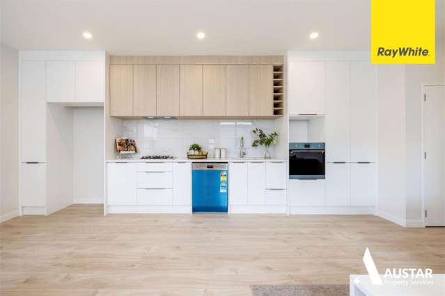  12 Biokovo Street Massey_4