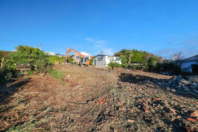 43 Arawa Street Tainui_4