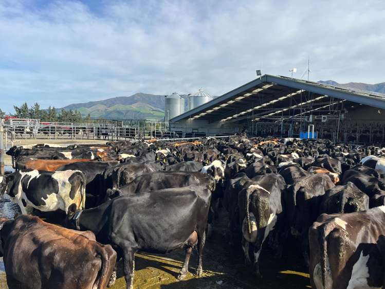 108 Klondyke Terrace Mayfield_38