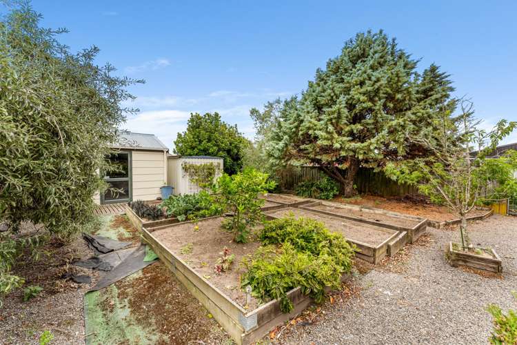 83 Dundas Road Sanson_16