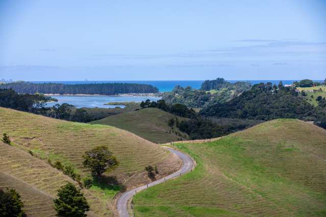 538 Hailes Road Whananaki_3