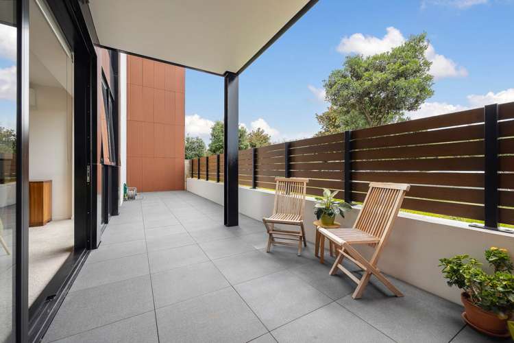 16/189g College Road Stonefields_8