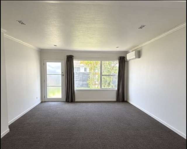 274B Clyde Street Hamilton East_3