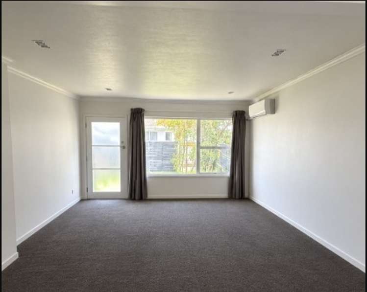 274B Clyde Street Hamilton East_3