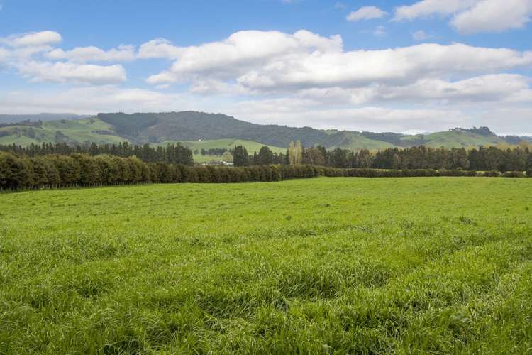 9850b State Highway 2 Waihi_6