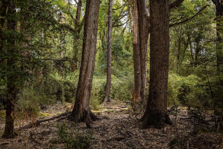 115 Howard Valley Road St Arnaud_47