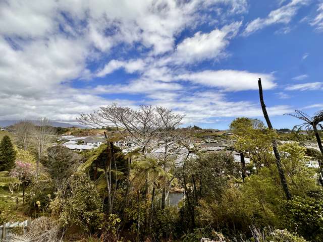 466A Carrington Street Upper Vogeltown_1