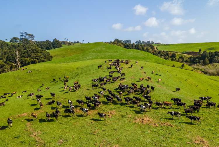 1047 Awhitu Road Waiuku_16