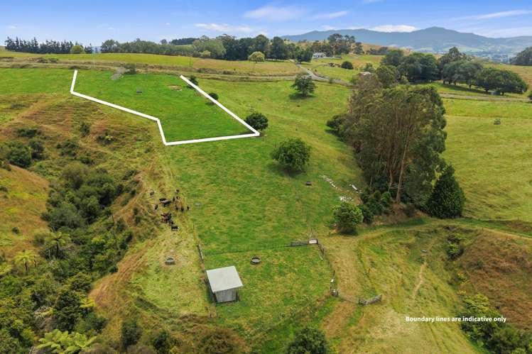 660 Quine Road Morrinsville_22