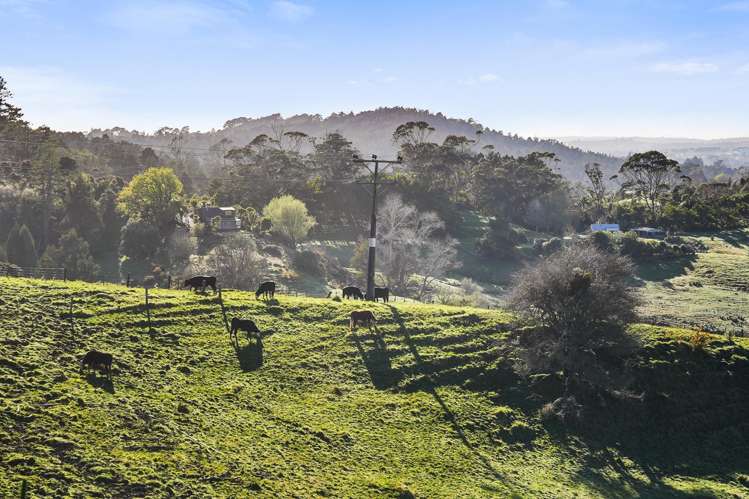 233 Whitehills Road Wainui_32