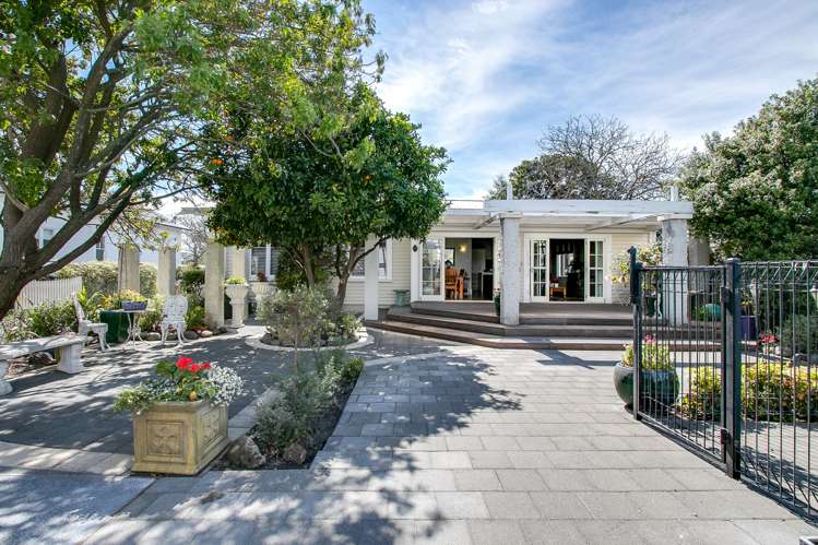 86 Mcdonald Street Napier South_19