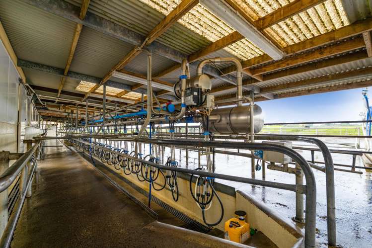 78a Waitoetoe Road Mimi_9