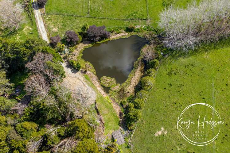 641 State Highway 1 Wellsford_32