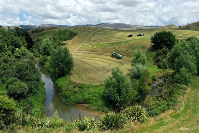 211 Waitetuna Valley Road Raglan_3