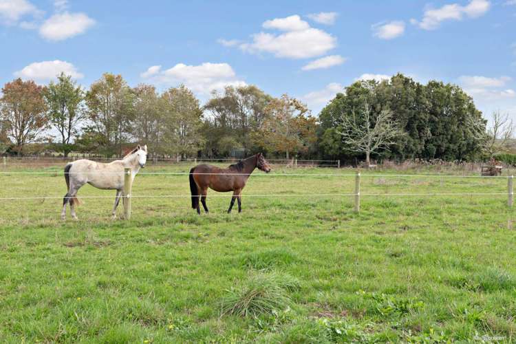 482a Mercer Ferry Road Mercer_21