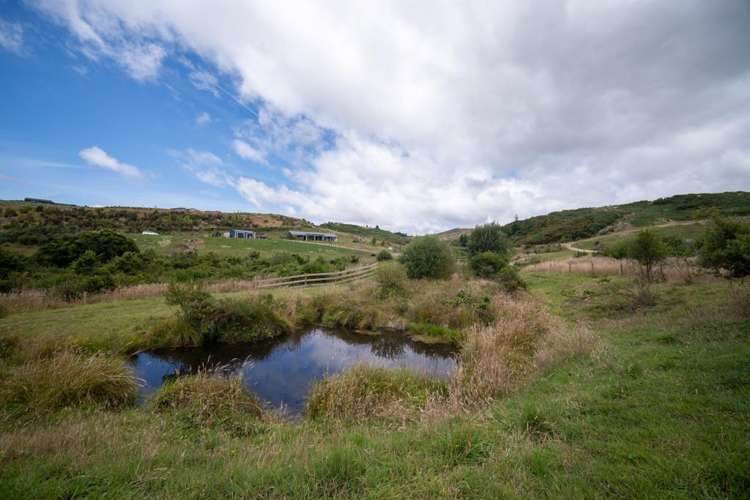 230 Stringer Road Upper Moutere_1