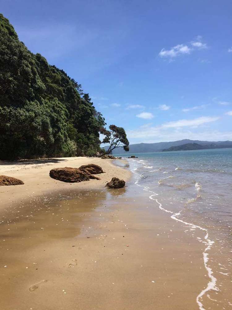 202c Big Bay Road Manukau Heads_7