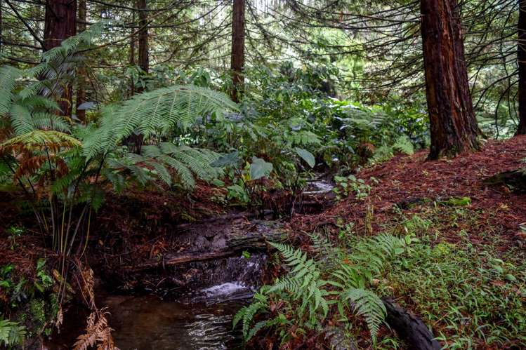 14 Tupelo Place Ohauiti_27