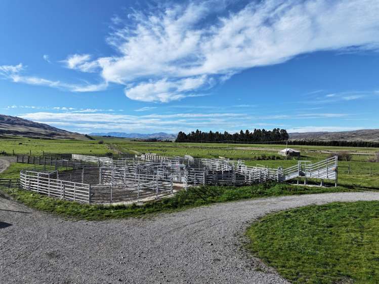 7797 Hyde-Middlemarch Road Middlemarch_11