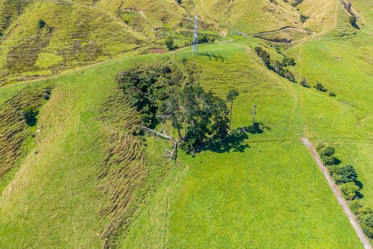 650 Waitohu Valley Road Manakau_19