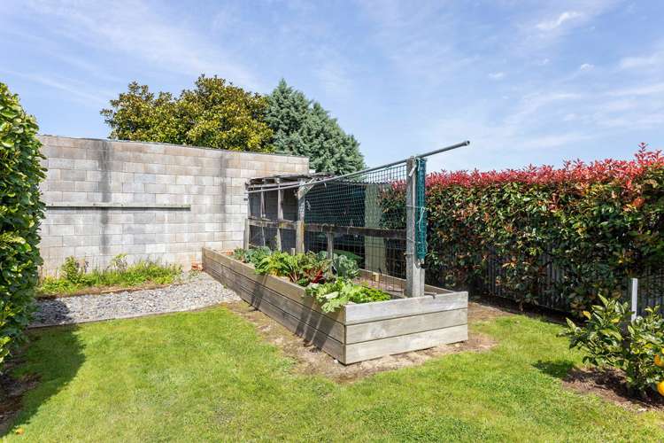 21 Victoria Avenue Dannevirke_18