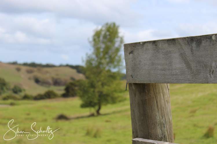 215c Heatley Road Whakapirau_9