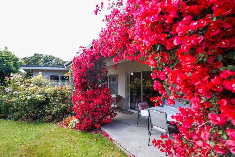 1498 Napier Road Ashhurst_16