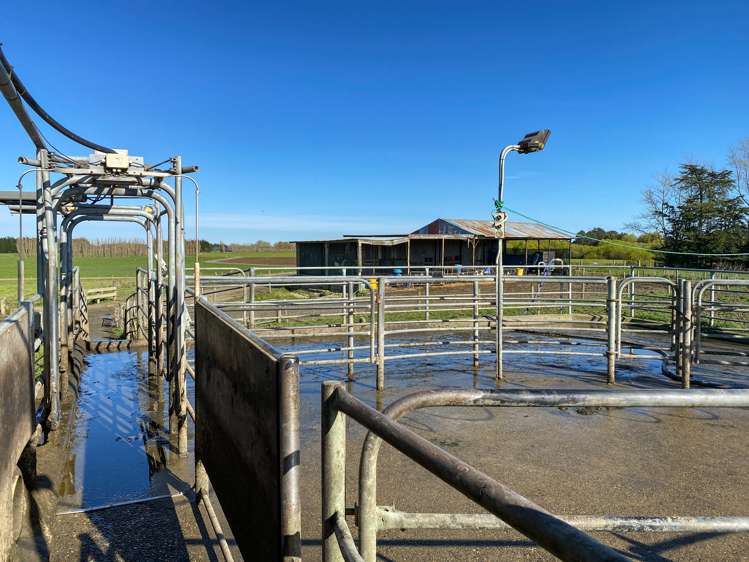 1128 Wyndham Road Wyndham_19