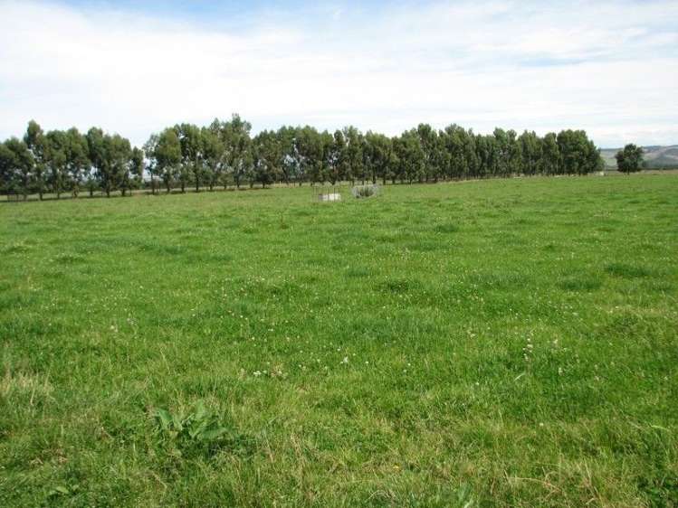 107 West Road Milton_11