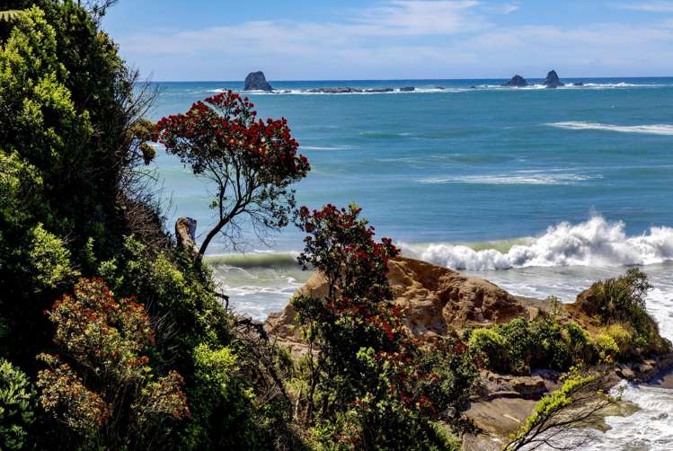 Lot 5 Omau Heights, Cape Foulwind Road_5