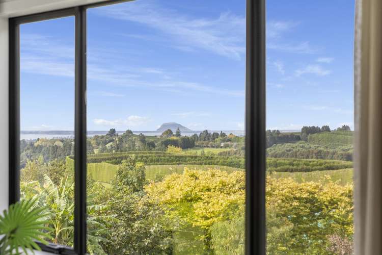 51 Sinclair Road Whakamarama_2