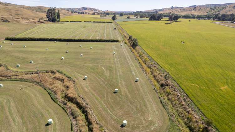 1231 Longbush Road Longbush_4