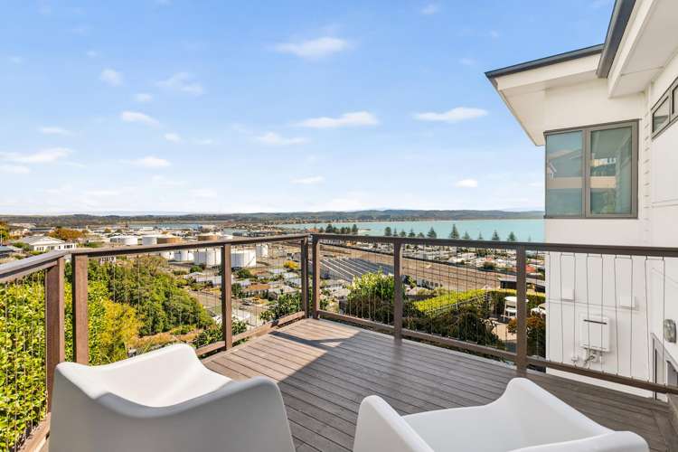 40 Roslyn Road Bluff Hill_16