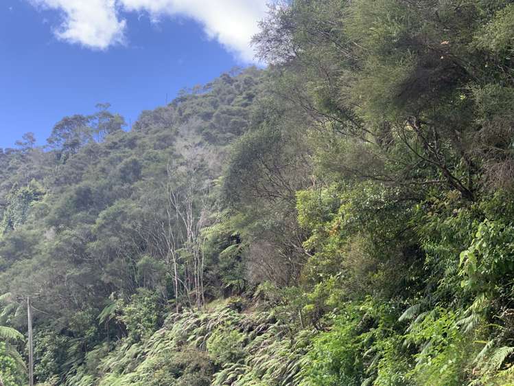 910 Upper Mangaehu Road Makahu Stratford Rural Property For Sale