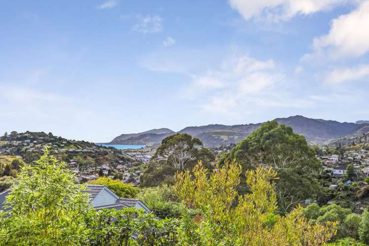 41 Orsman Crescent Toi Toi_7