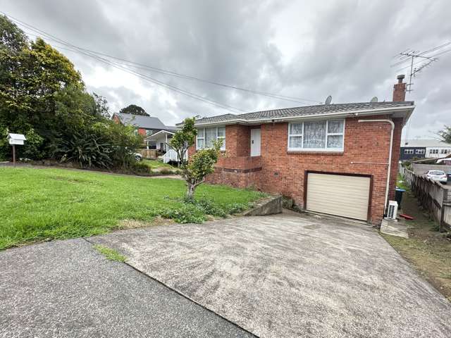 17 Marion Ave Mount Roskill_1