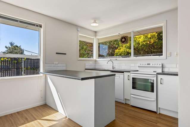3a Buss Street Rangiora_2
