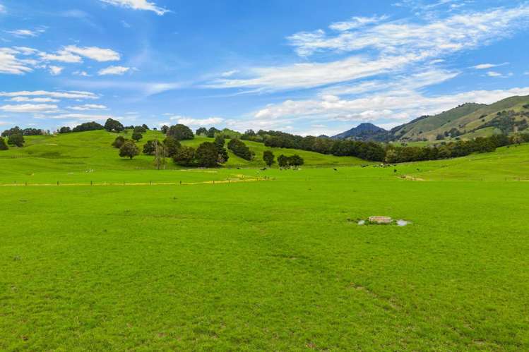 1070 Tangihua Road Maungakaramea_7