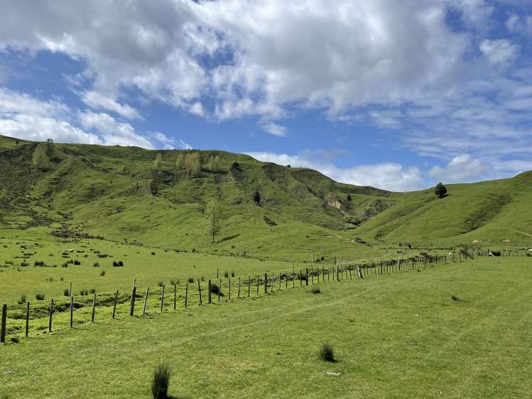 592 Waitewhena Road Ohura_4