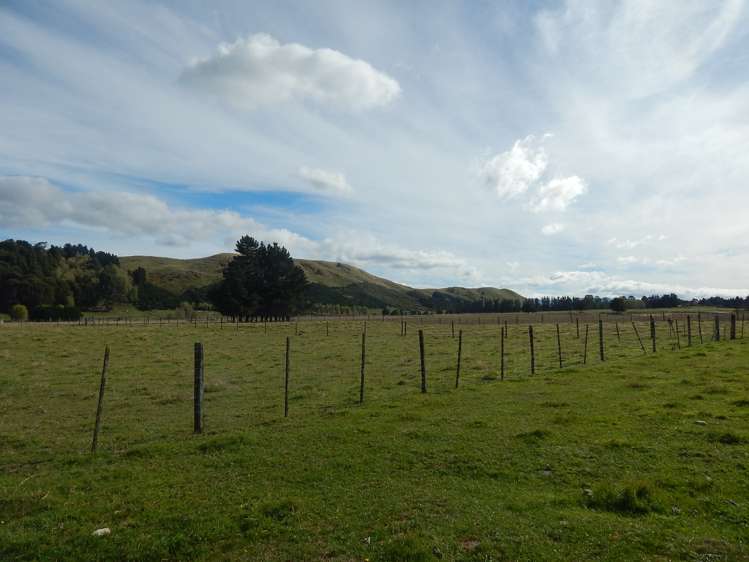 759 Chester Road Carterton_7