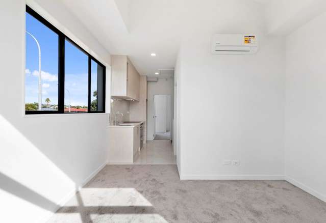 65A Ash Street Avondale_3