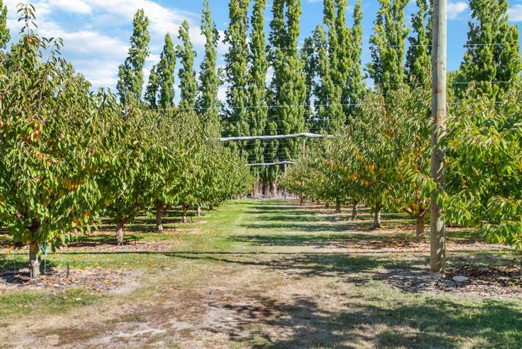 284 Ripponvale Road Cromwell_9