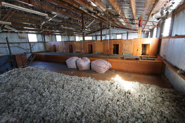 378 Harcus Road Middlemarch_6