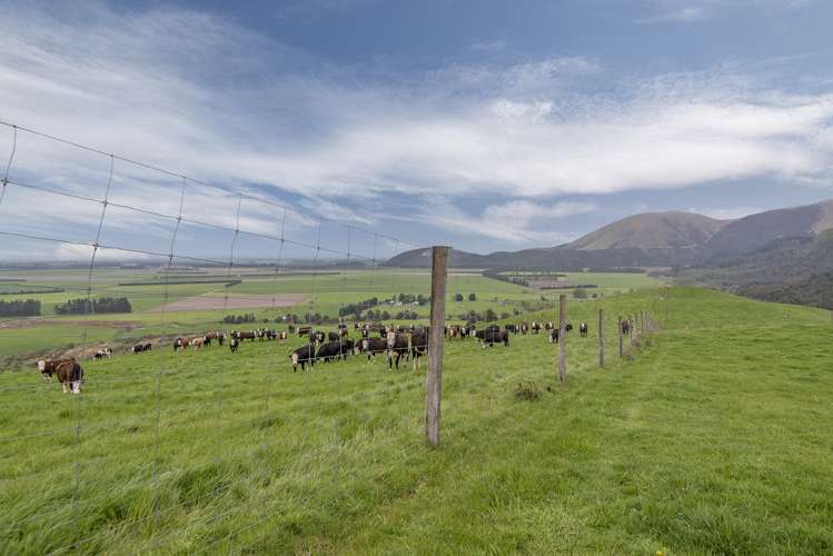 Mclennans Bush Road Methven_8