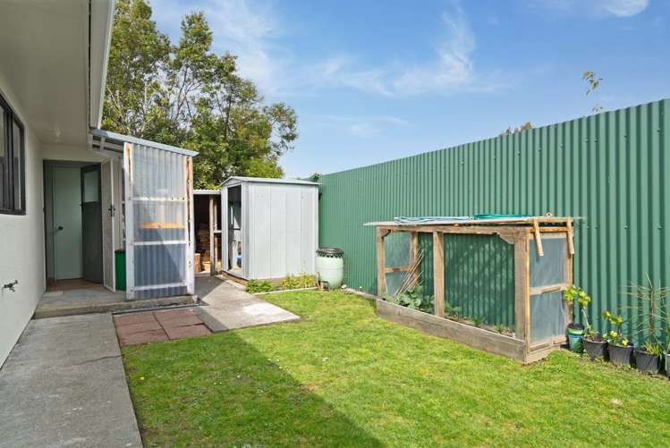 50C Mcmaster Street Greytown_21