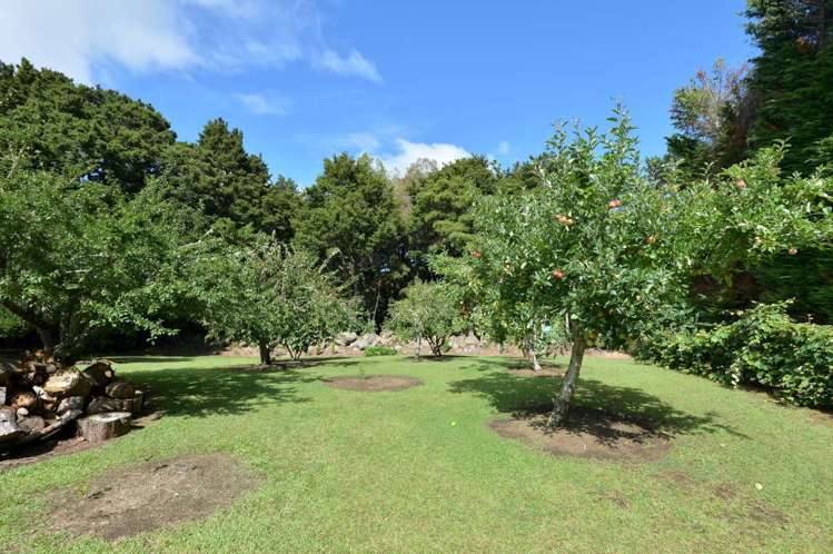 62 Proctor Road Poroti_17