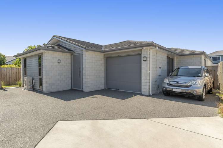 50c Sixteenth Avenue Tauranga South_0