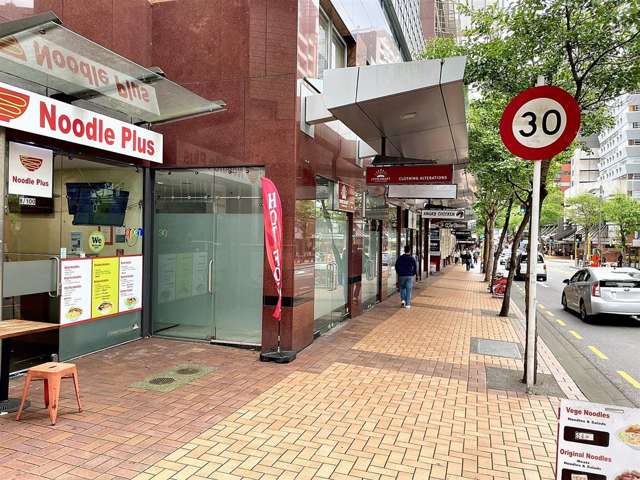 1/100 Willis St Wellington Central_2
