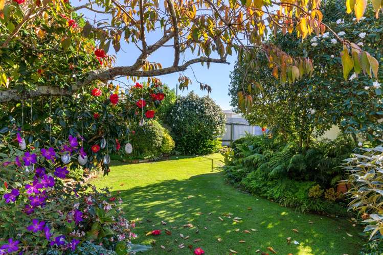10 Collins Street Te Hapara_21