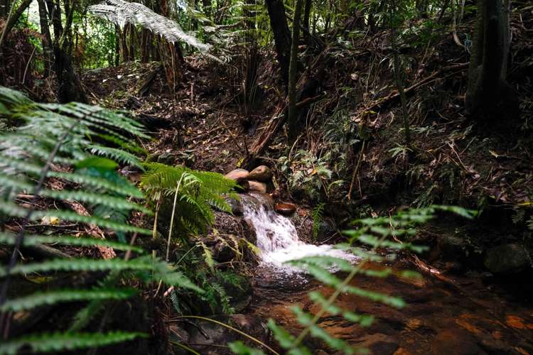 7 Stoney Brook Lane Kerikeri_26